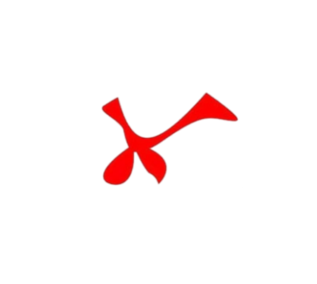 CARNICERIA CARNE DE TORO